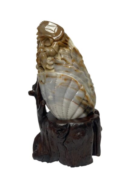 LINE_ALBUM_樹化玉擺件_260120_28